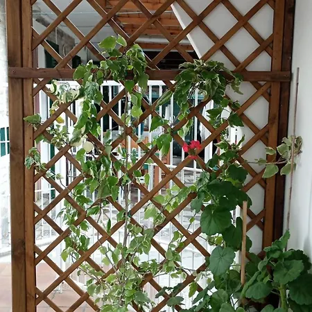 펜션 Comfortable House 10 Minutes From The Sea *